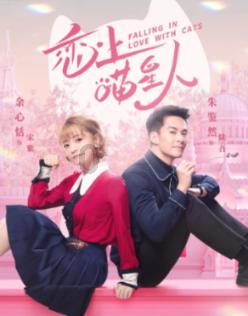 全民剧本大师内置菜单